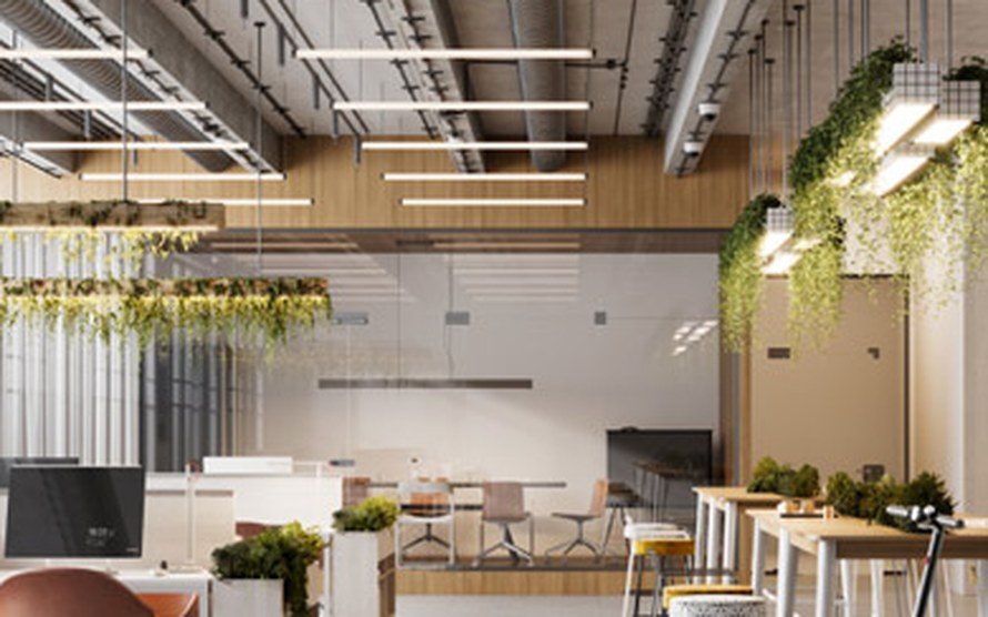 Renovated open-plan office with plasterboard walls and ceilings